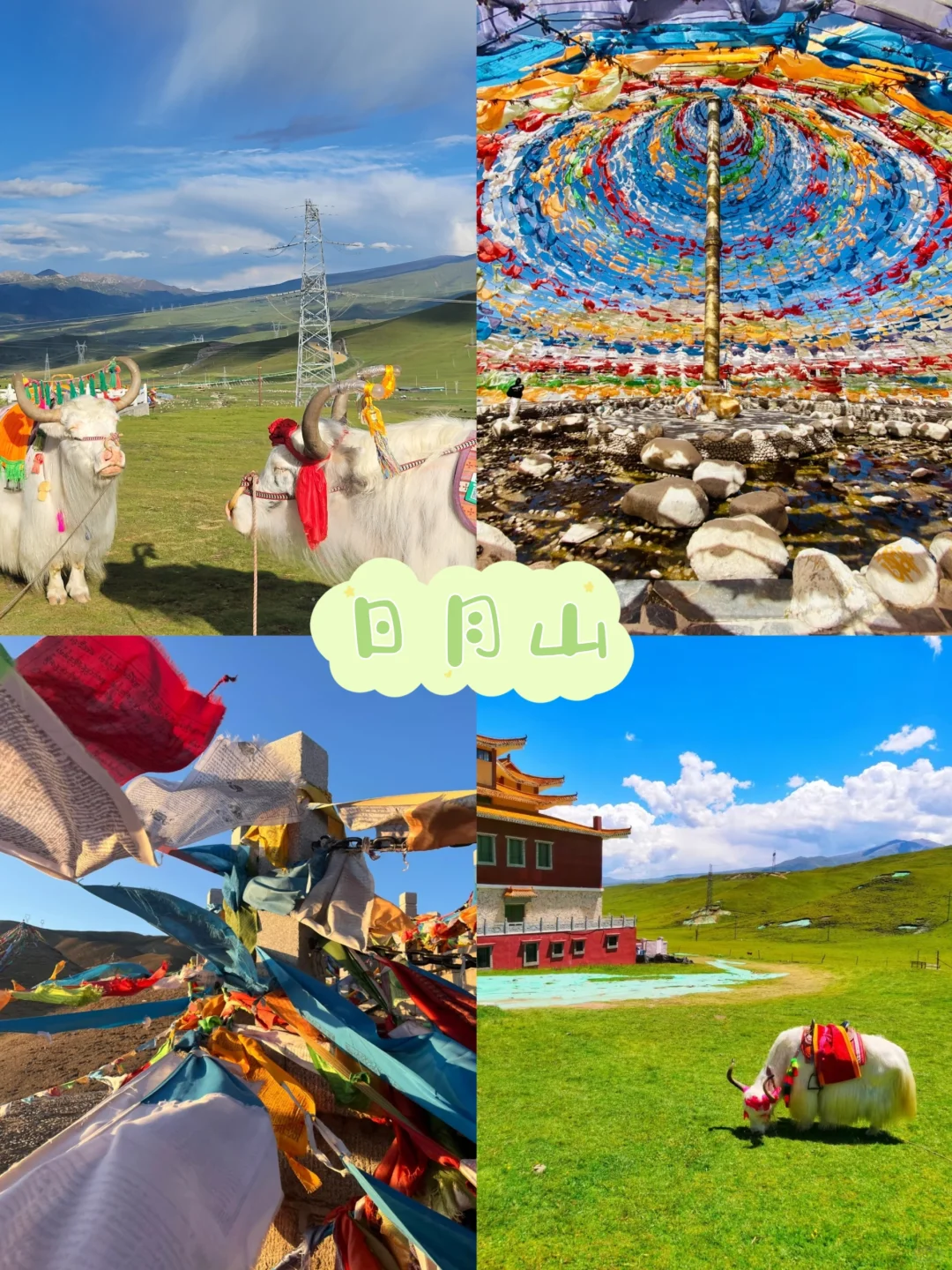 5-8月|青海3日游🚩精品纯玩小团🍻