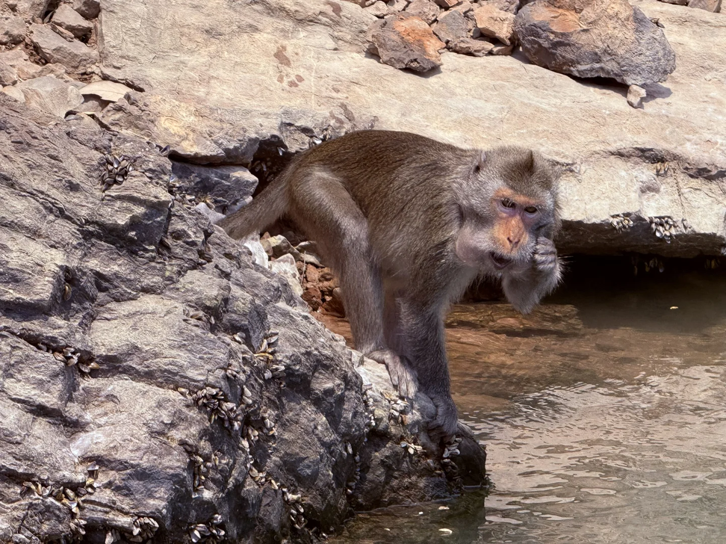 永福！这个地方也太……