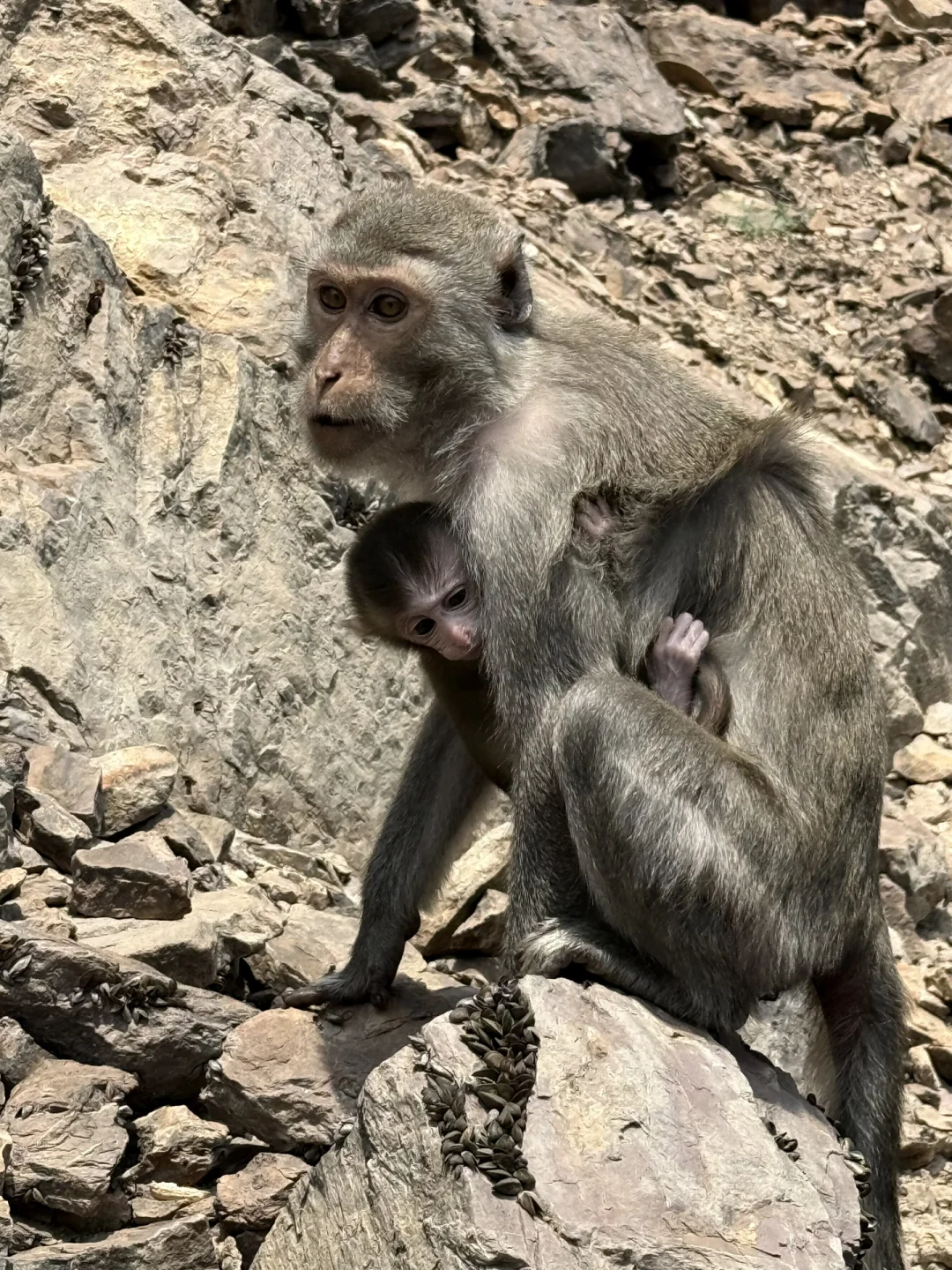 永福！这个地方也太……
