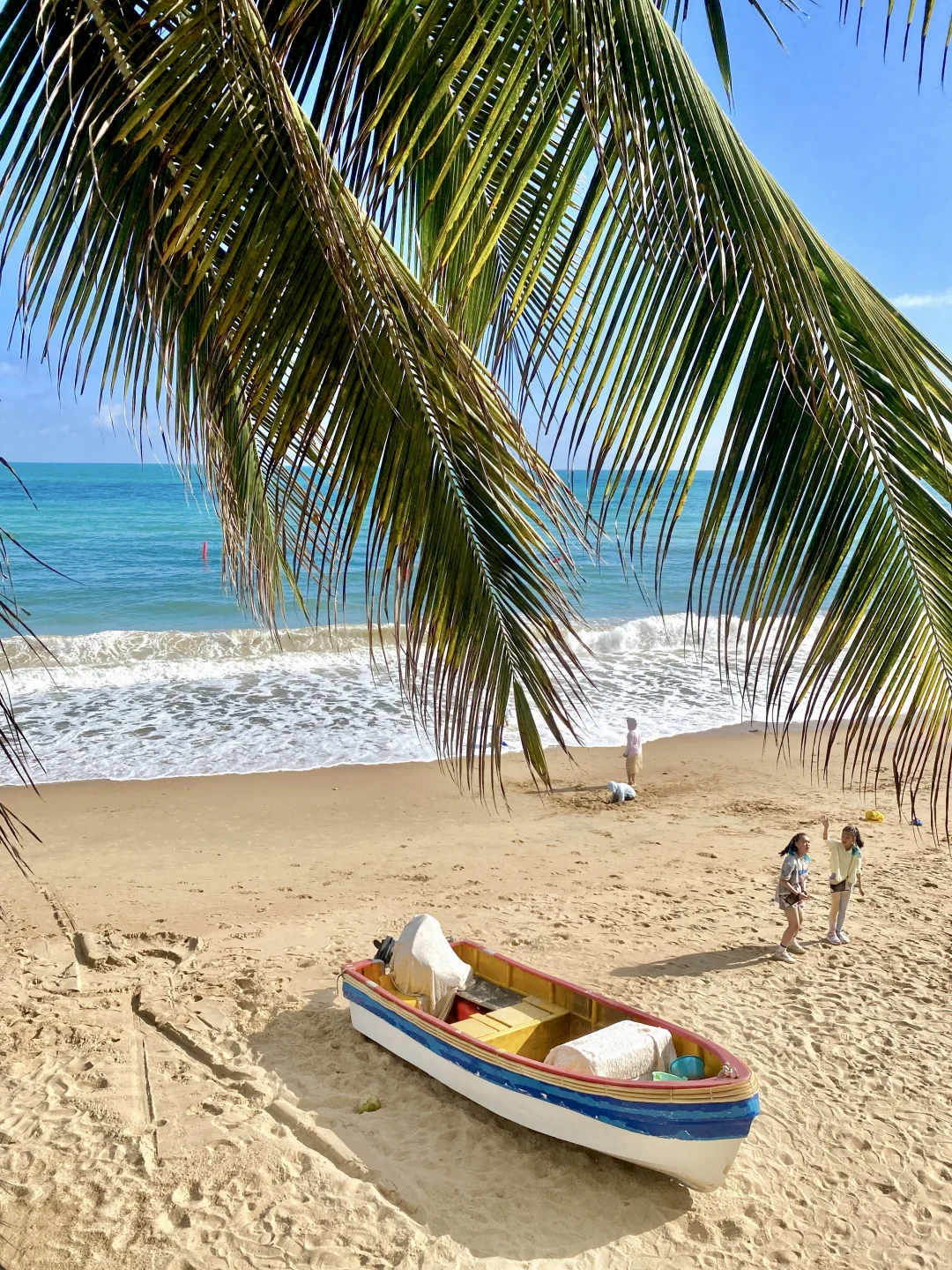 J人好恐怖啊…😨被朋友写的三亚攻略狠狠震撼