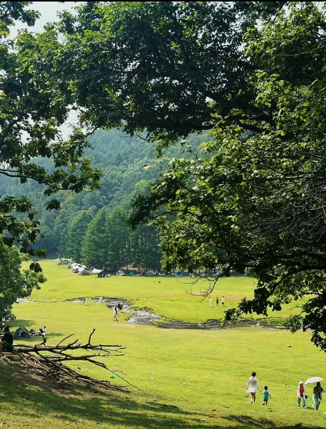 东北老妹30年生活经验倾情分享伊春攻略！