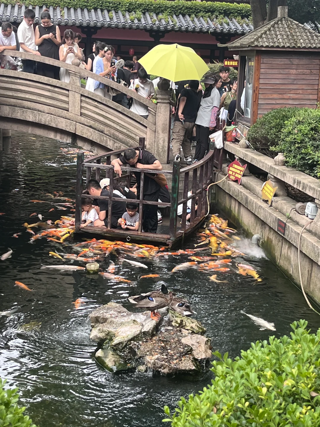 不得不说，寒山寺的交通非常令人无语，纯走