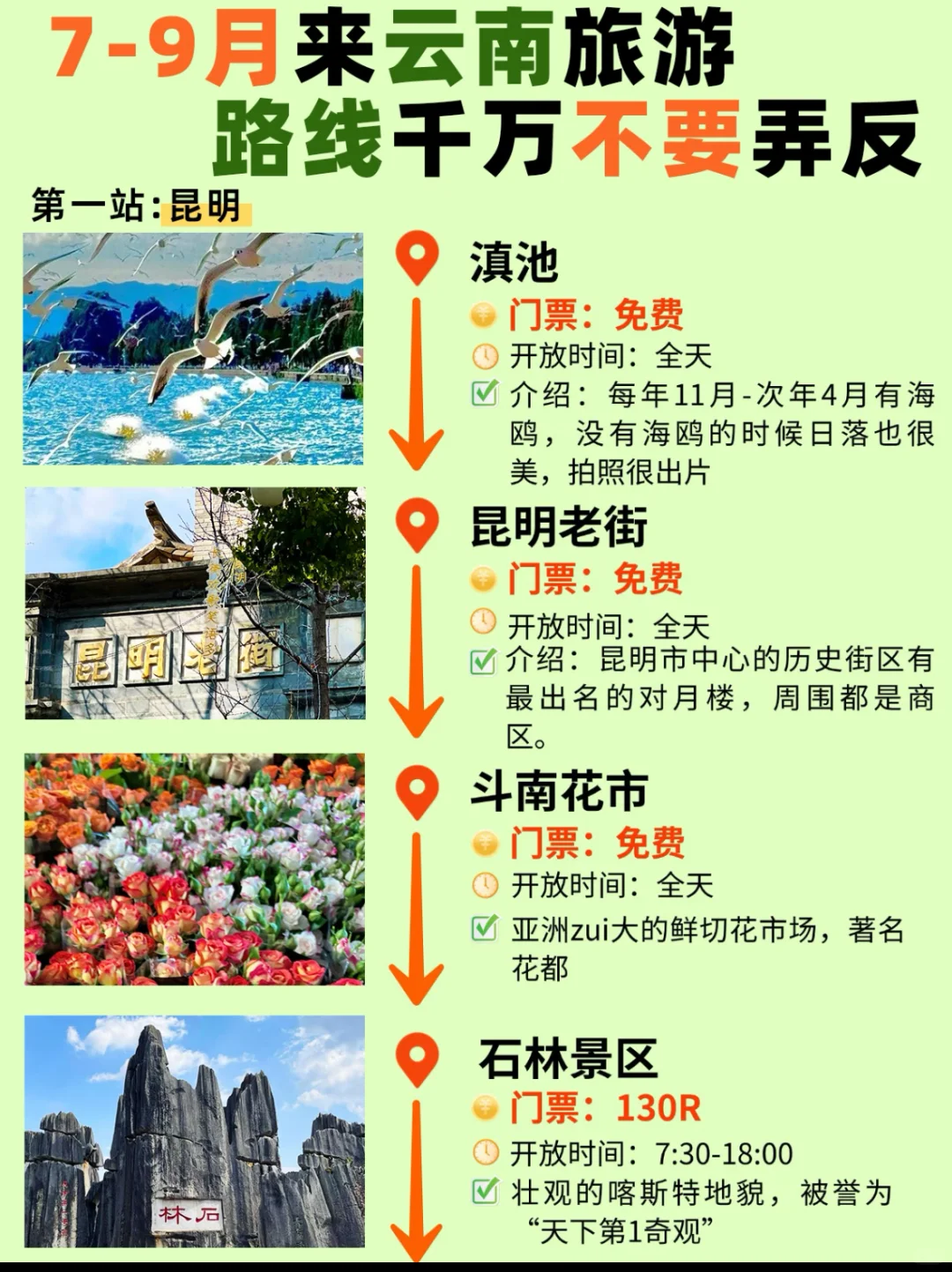 旅游攻略，别走弯路，云南7日之旅
