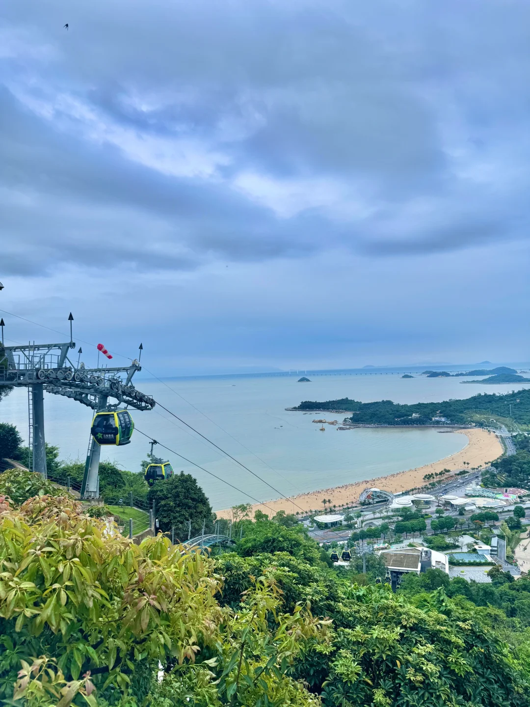 live实况｜车窗外的珠海好适合sea walk