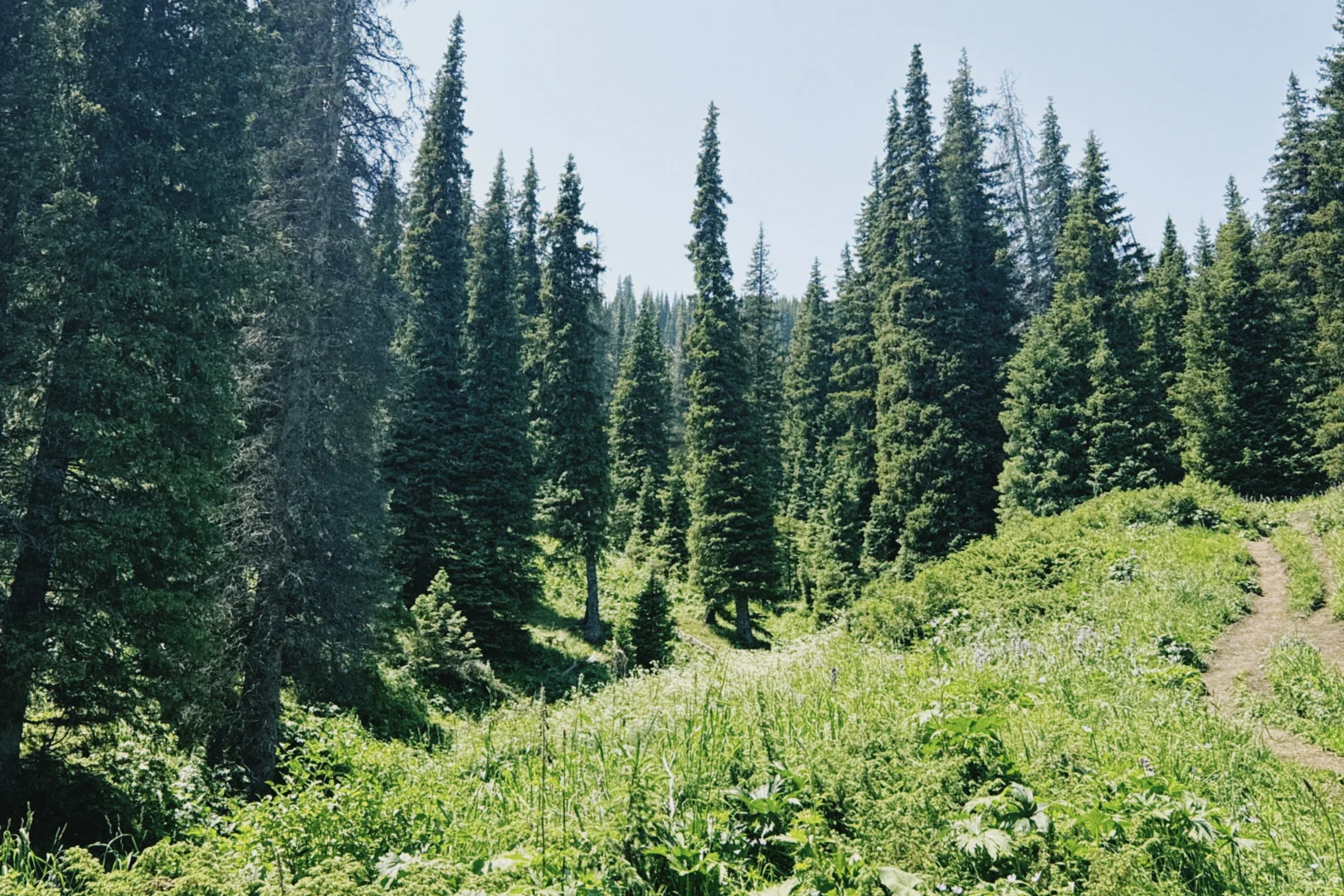 新疆自驾日记|第七站