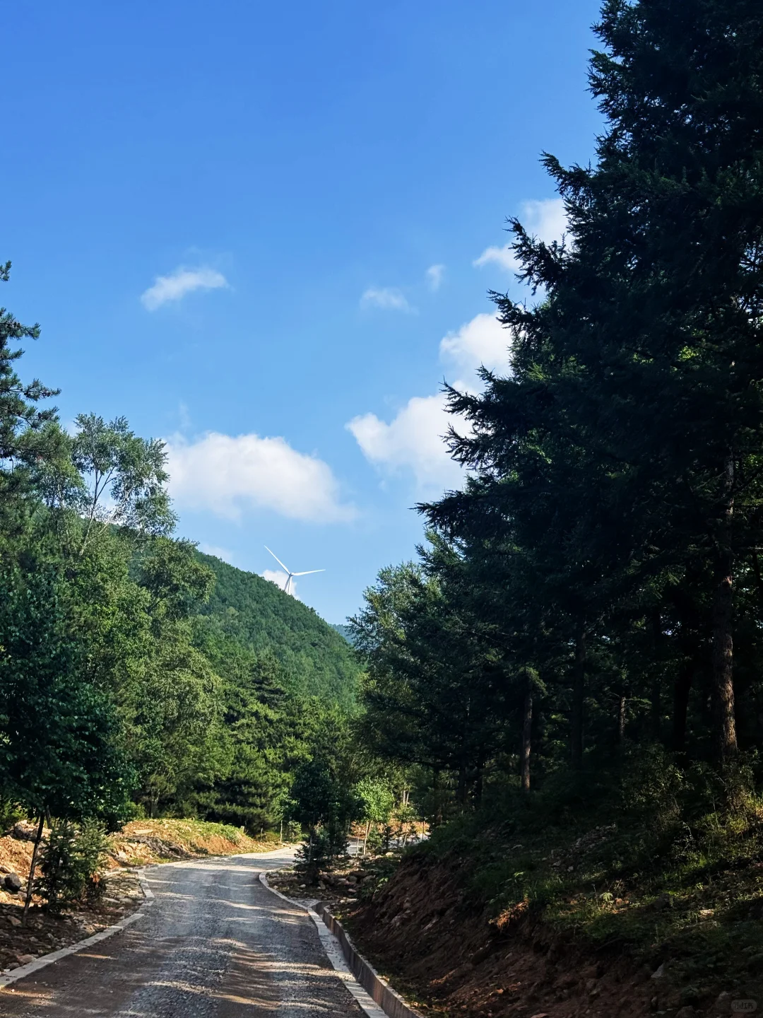 📍邯郸周边游｜感受23度的夏天