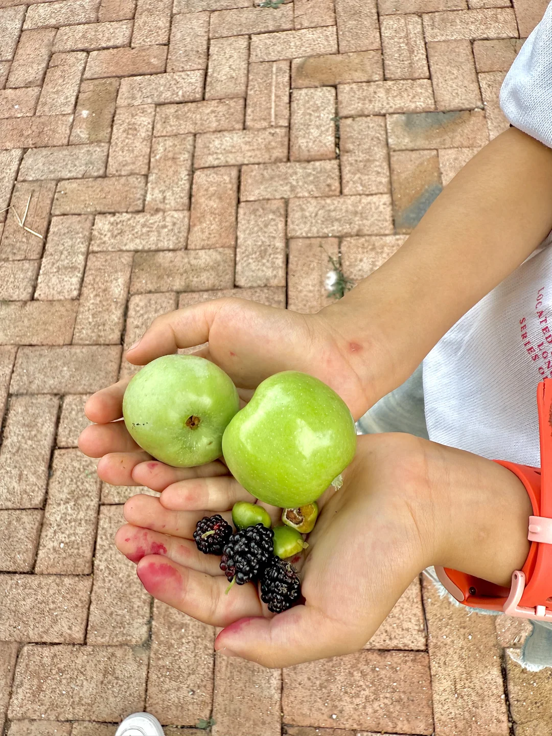 打卡邯郸小众人少又很好玩的地方!