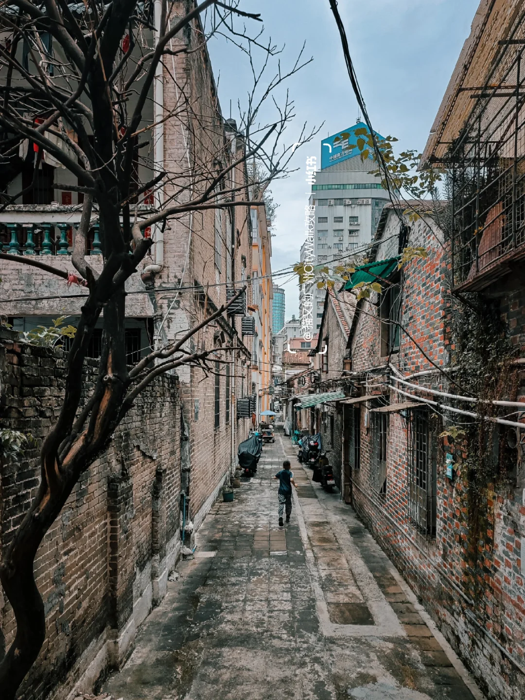 广州不花钱可以逛一天的精神避难所！