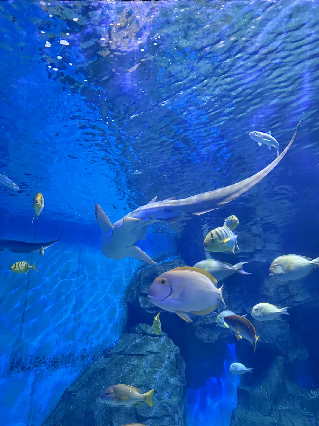 北京📍一些可以夜游的儿童乐园…（合集）💦