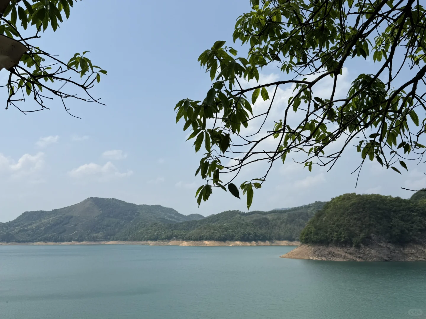 永福！这个地方也太……
