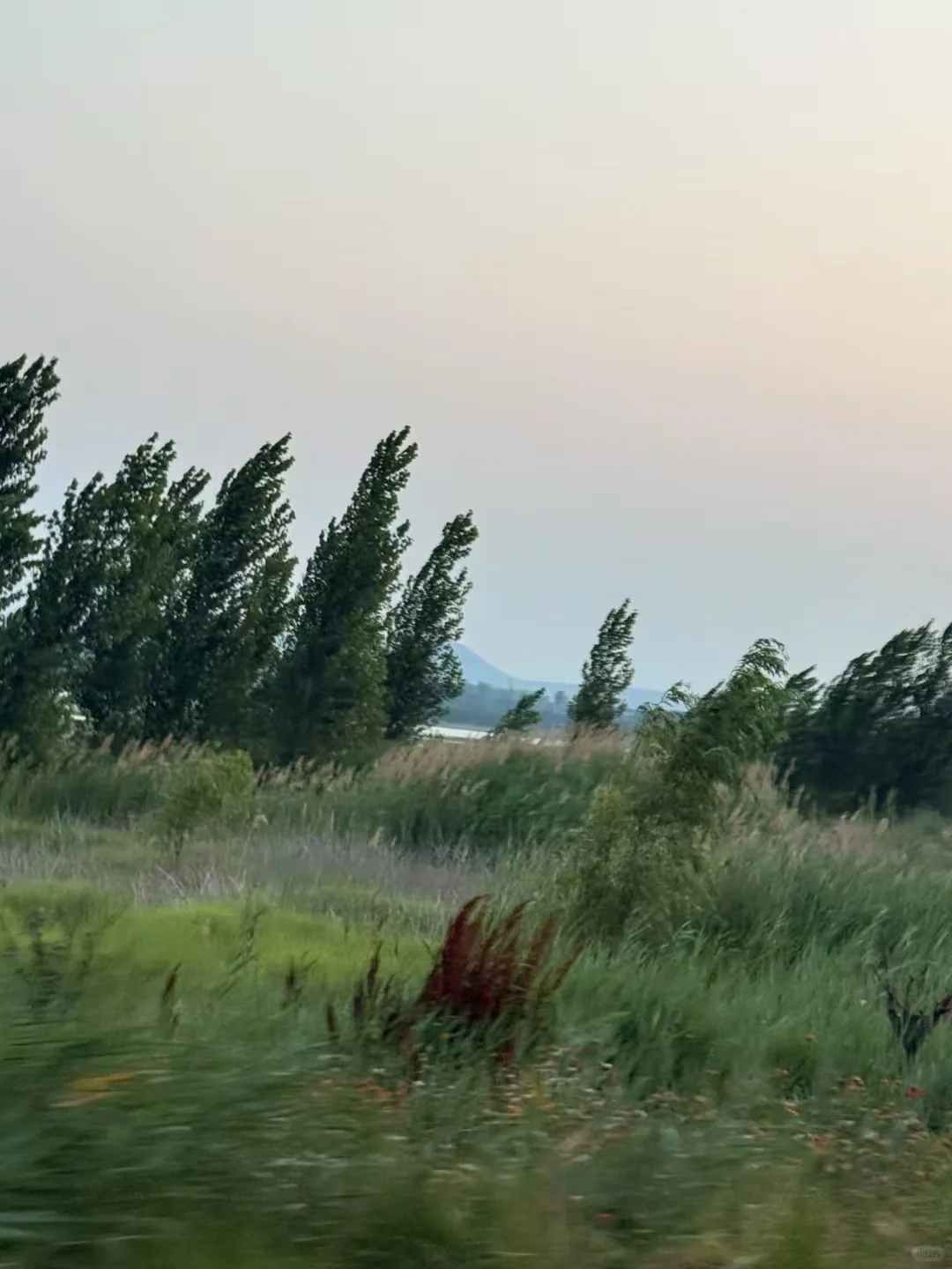 邯郸周边的一湾宝藏🌅