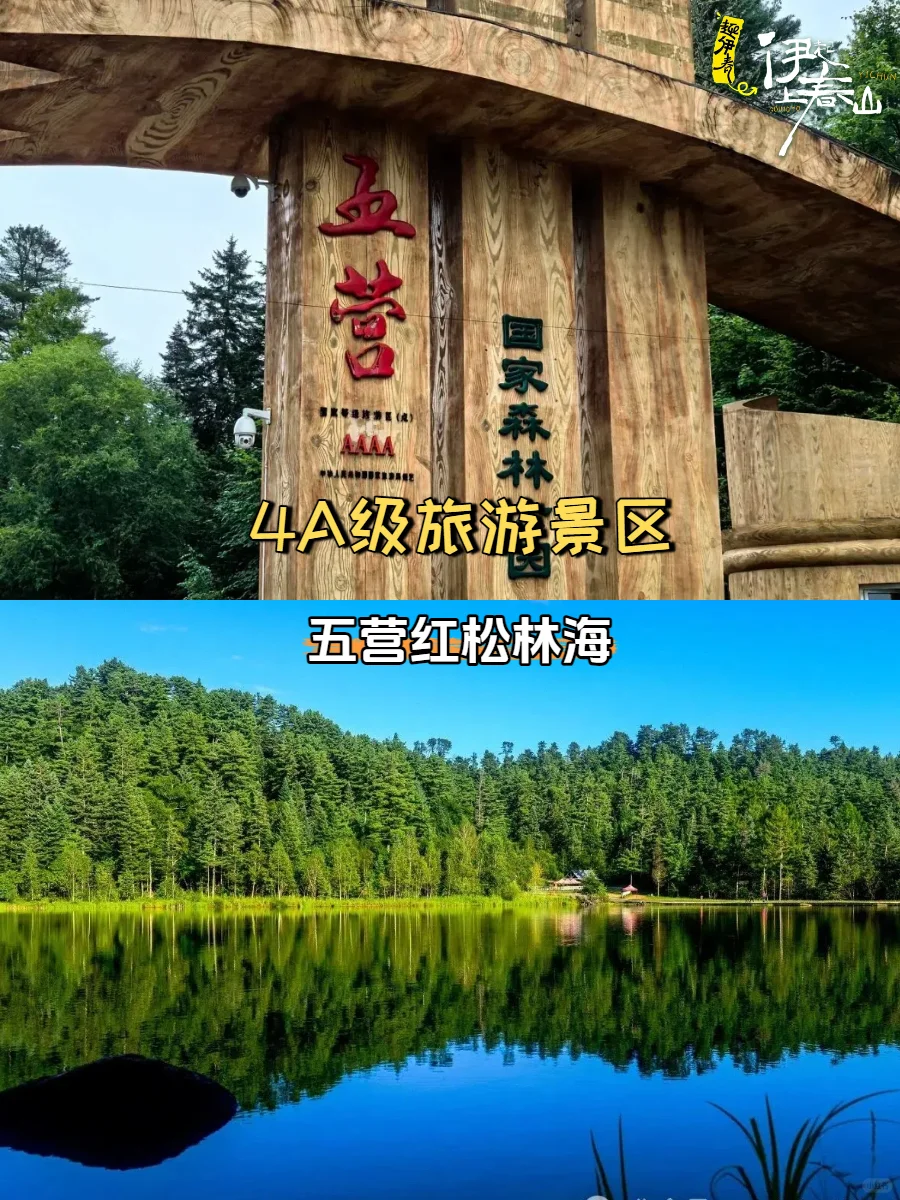 5月伊春免票周|13大景区0元打卡!速冲