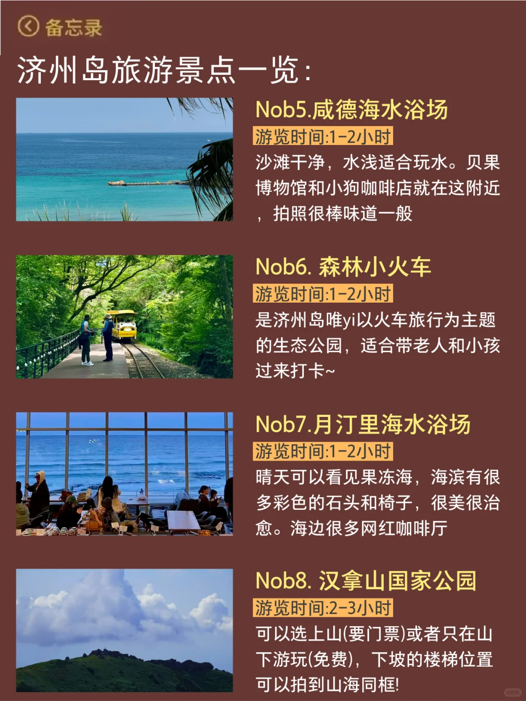 7-8🈷️来济州岛玩的！别怪我没提前告诉