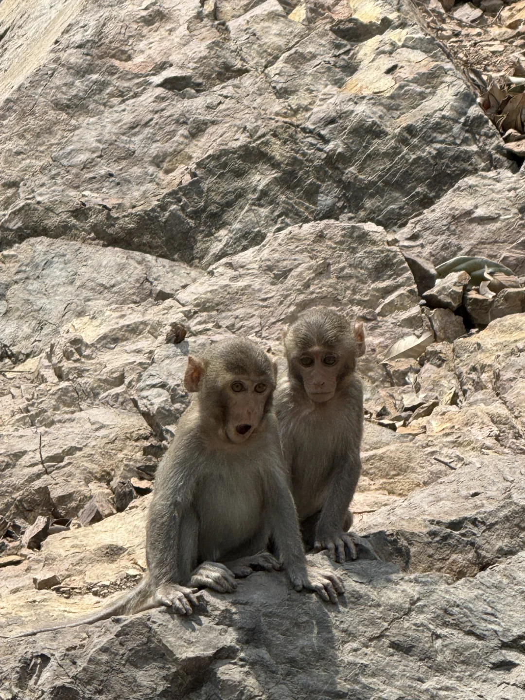 永福！这个地方也太……