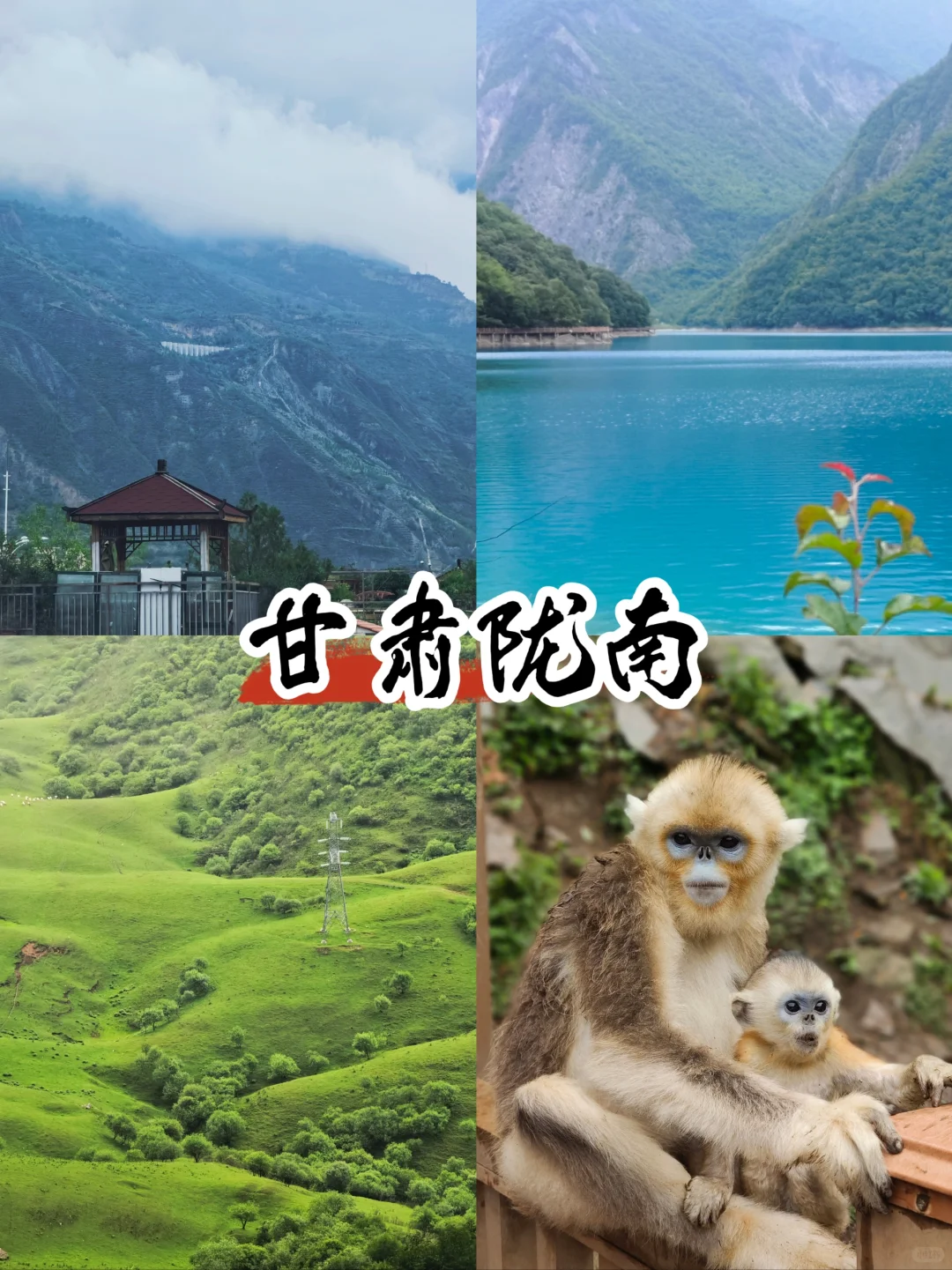 甘肃陇南，宝藏小城