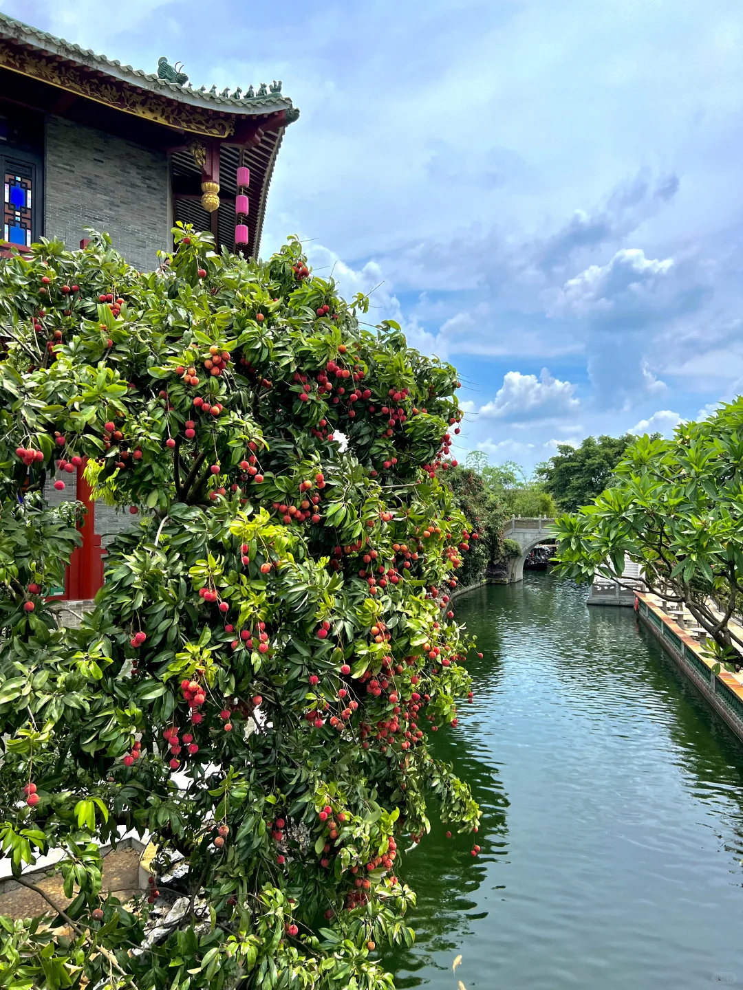 我愿称之为广东园林天花板！🌳🌳