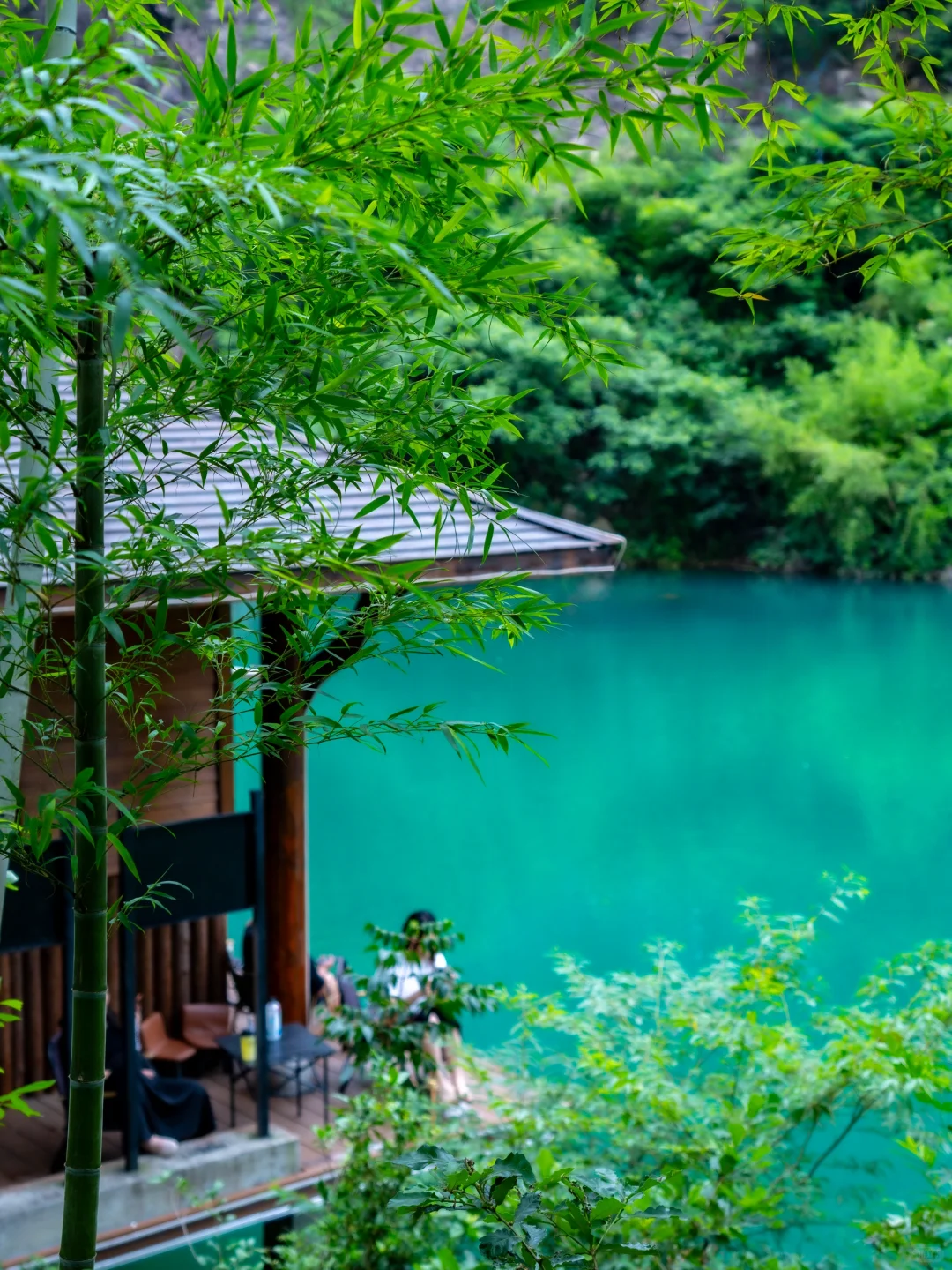 就在浙江！发朋友圈都以为我出国了