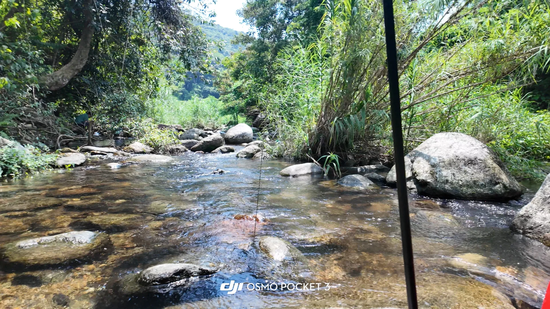 夏天当然要来玩水呀🐟🫧