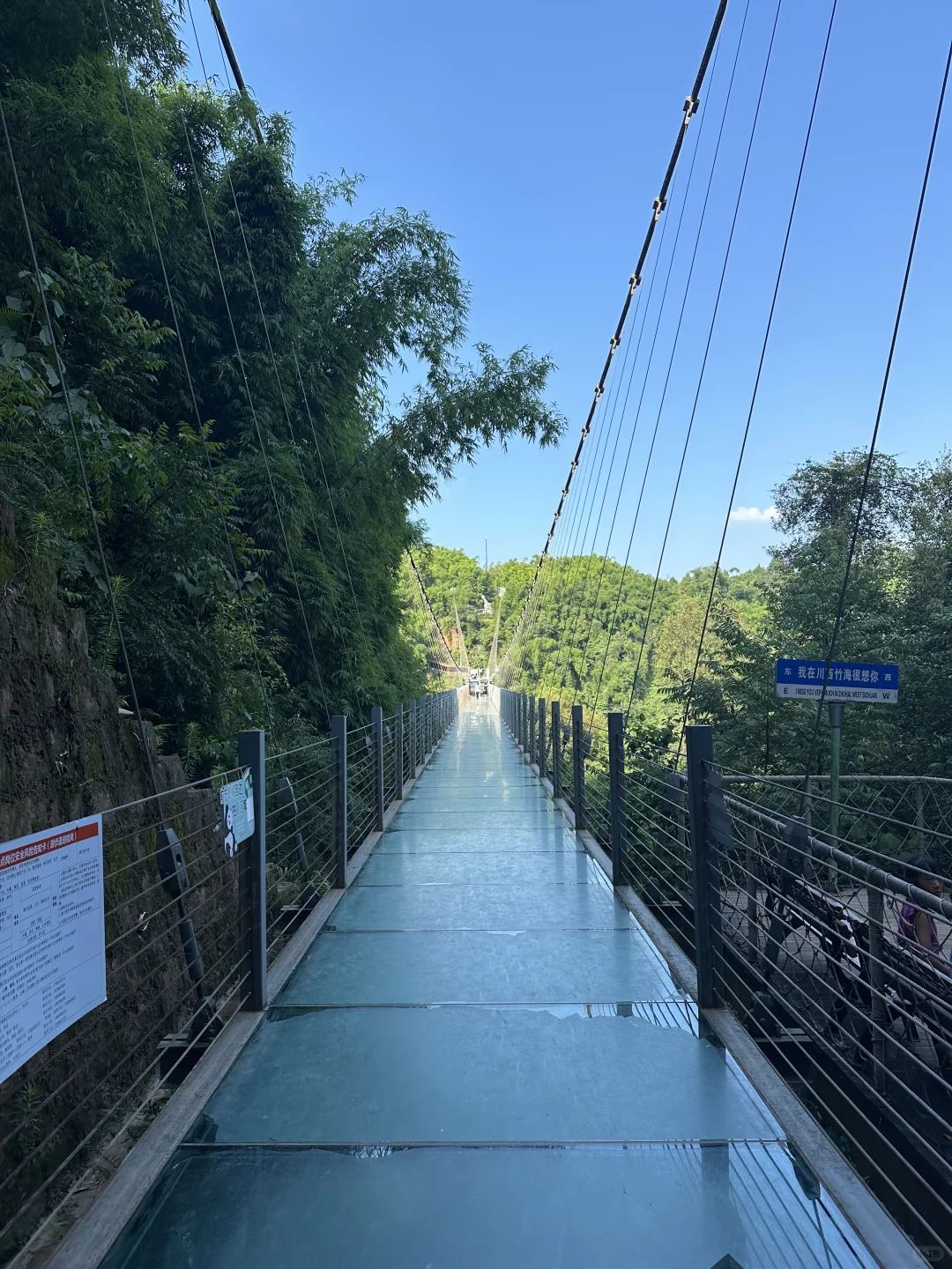 💨成都1h，带狗撒欢玩水的竹海秘境！