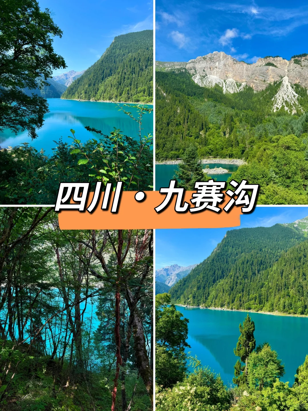 夏日出逃计划🌿6个25℃凉都亲测攻略