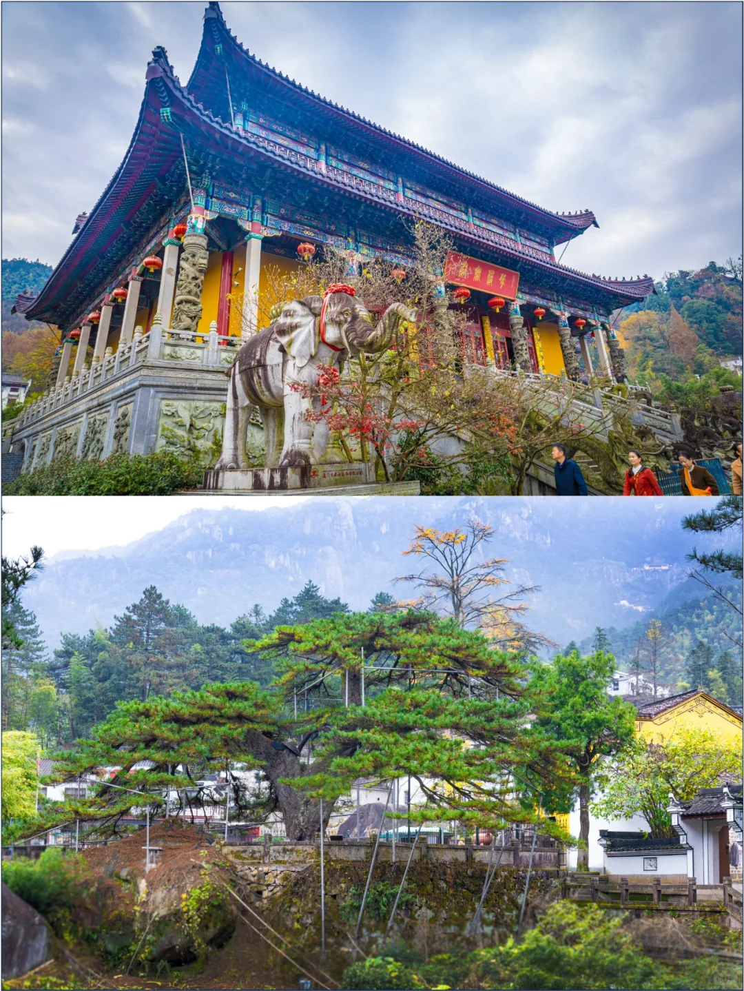 终于有人把九华山攻略讲清楚了！