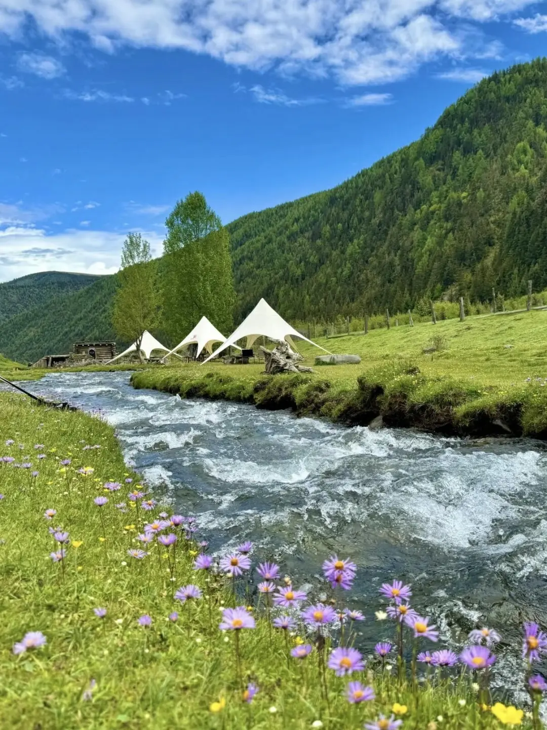 📍7-8月川西简直太美了！live图直出