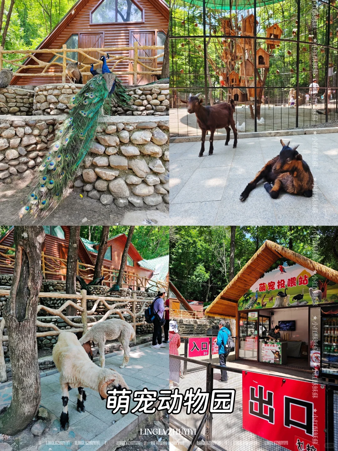 一篇讲明白关山湖风景区怎么玩!不迷路