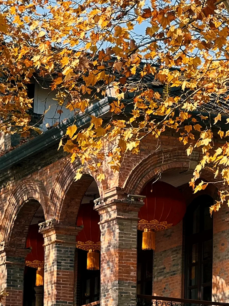 杭州暴走一日游|24小时极限挑战