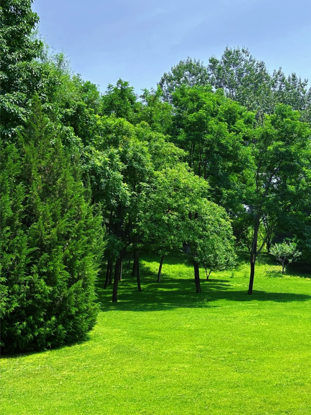 在北京！夏日绿野仙踪CityWalk路线！附攻略