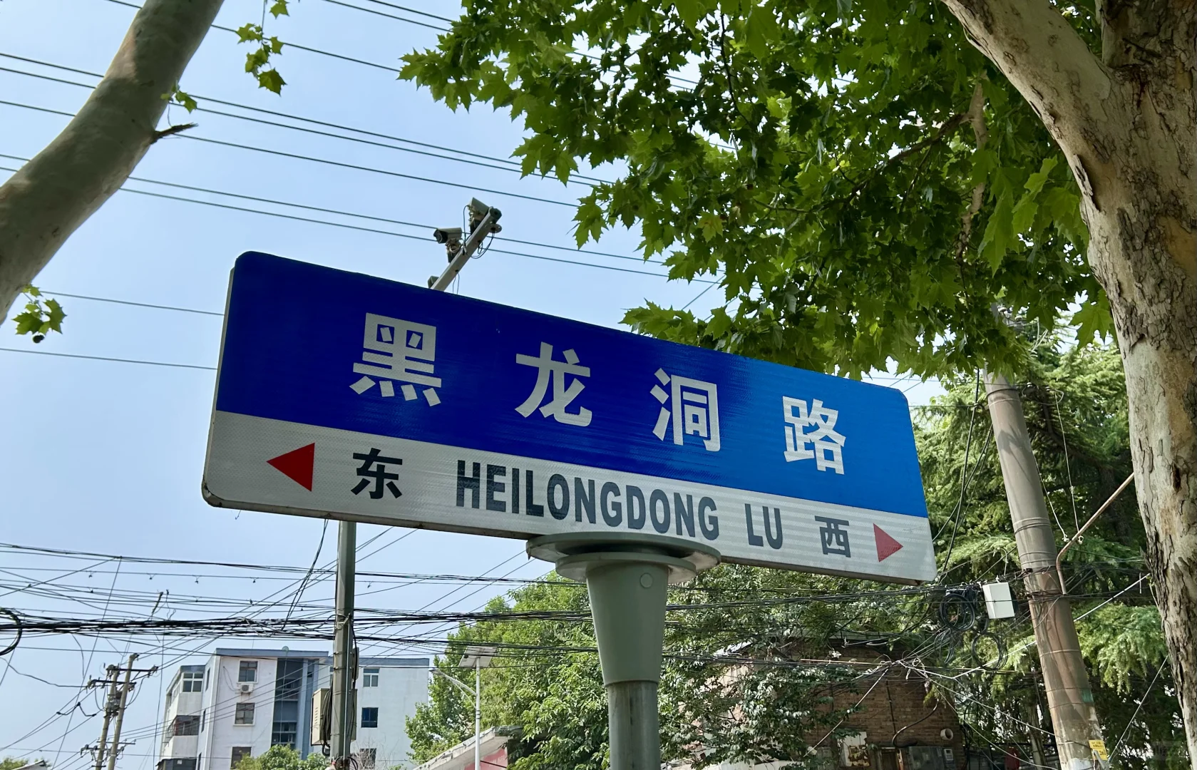 免费玩水秘境～