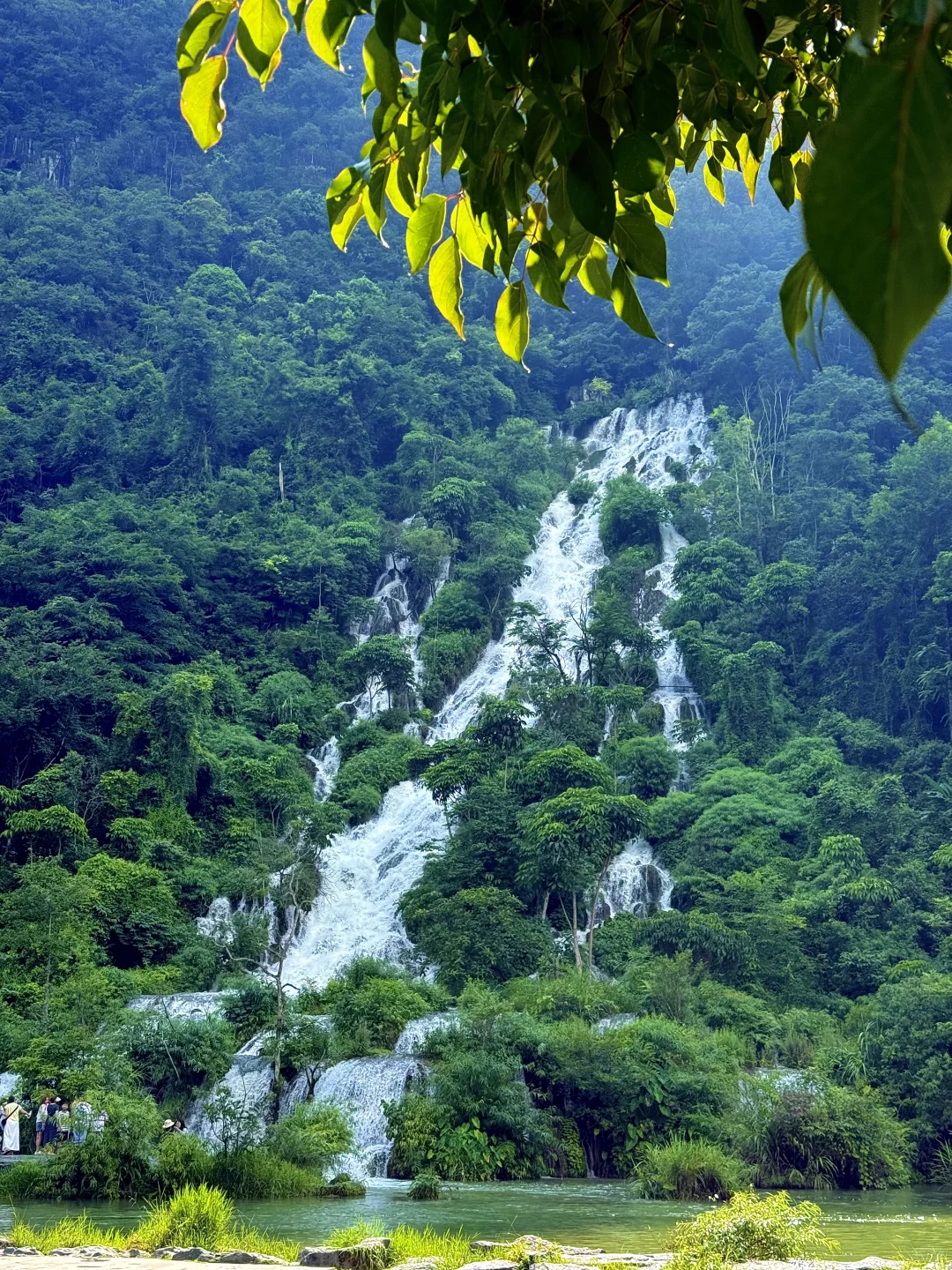 荔波小七孔live🍃人间绿宝石名不虚传