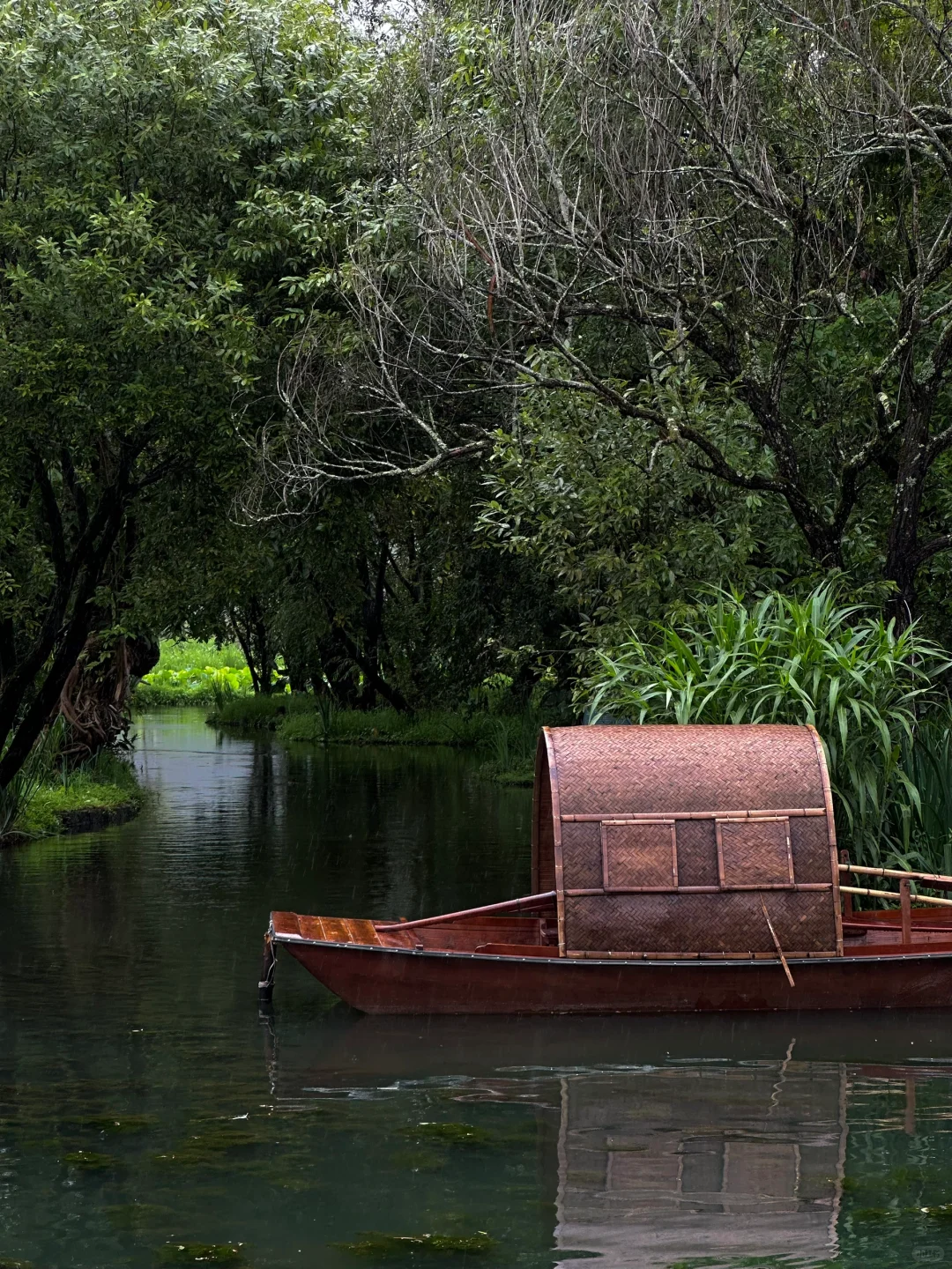 这么久了，还是觉得腾冲和顺古镇无法超越🍃