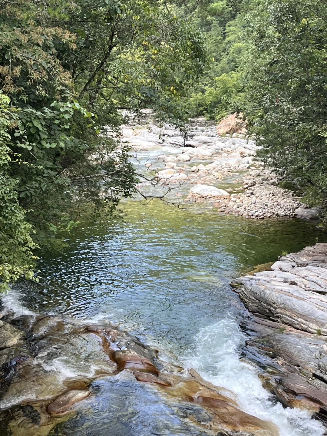 秦岭深处的夏日童话|大箭沟