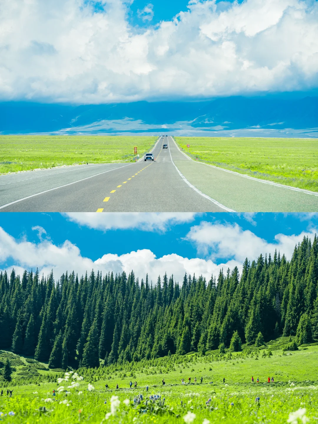 很多人喜欢的新疆组图🍃详细旅行攻略来了