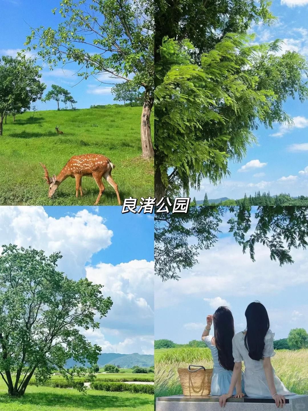 暑假来杭州一定不要错过这几个景点（附攻略）