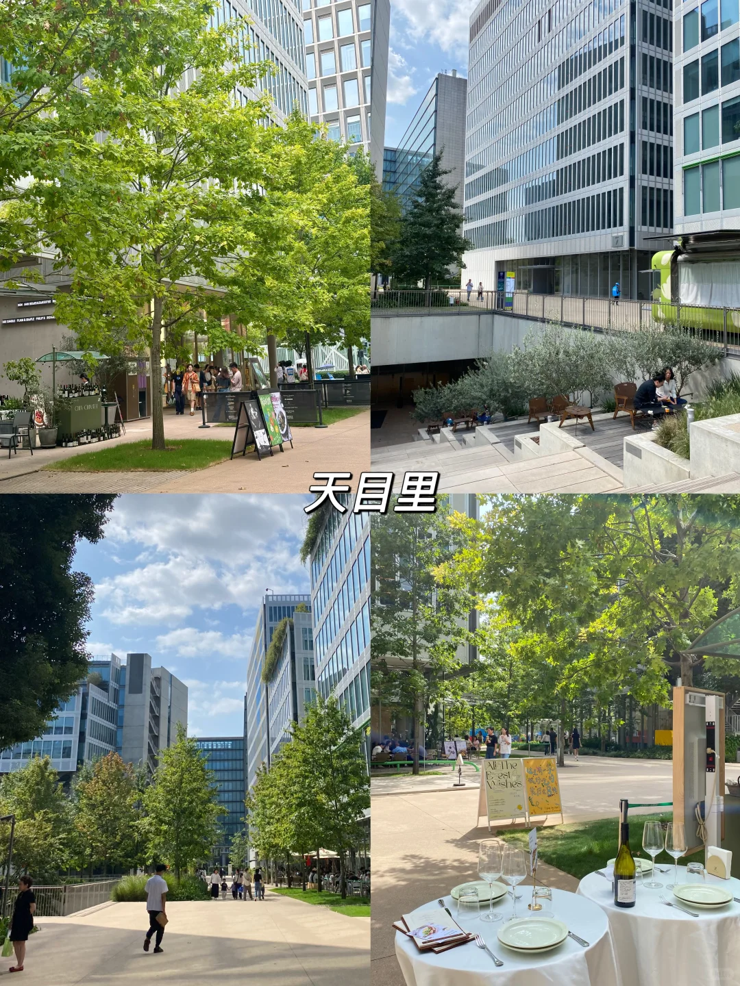 暑假来杭州一定不要错过这几个景点（附攻略）