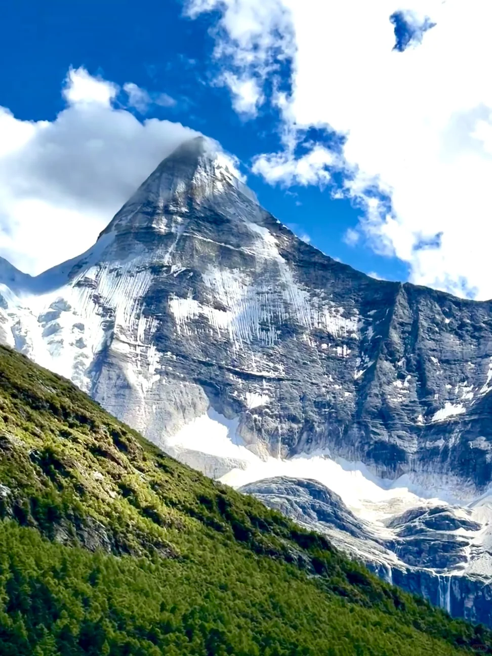 📍7-8月川西简直太美了！live图直出