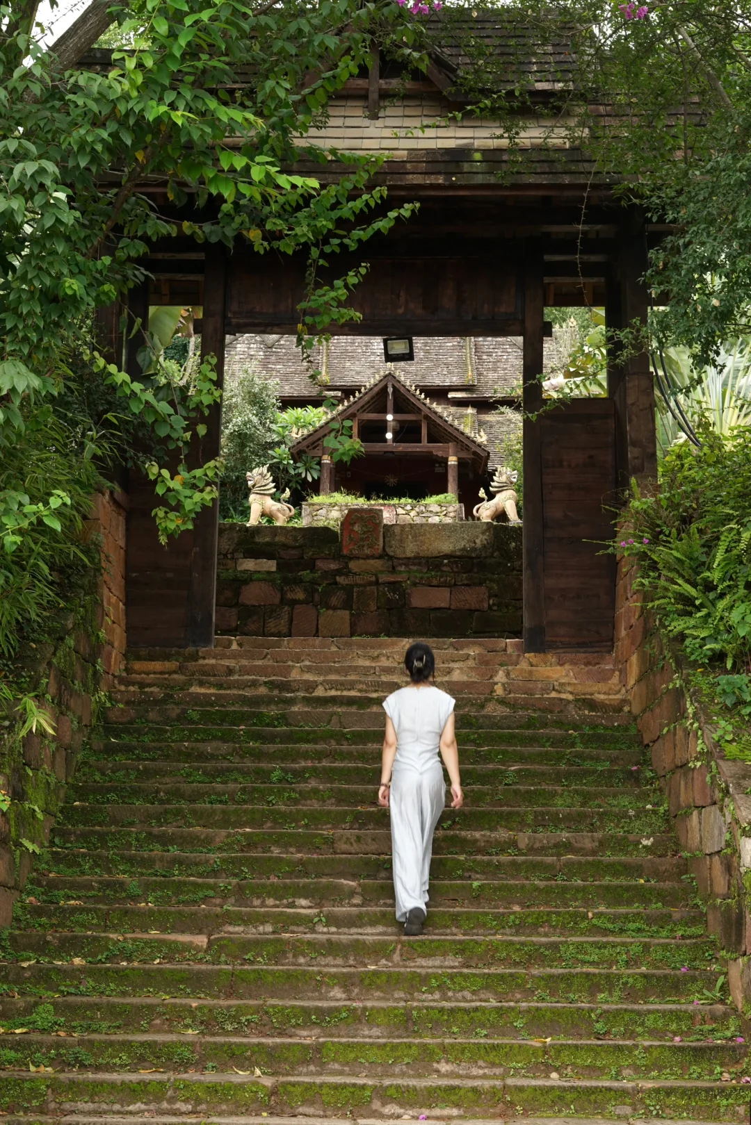 旅行|景迈山|被森林环绕的乌托邦