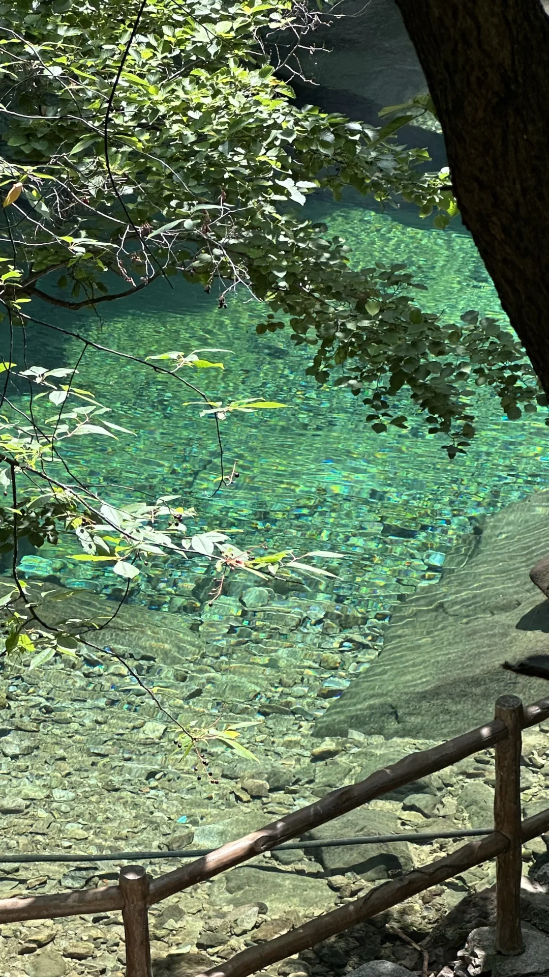 青岛夏天崂山玩水(无痛版)