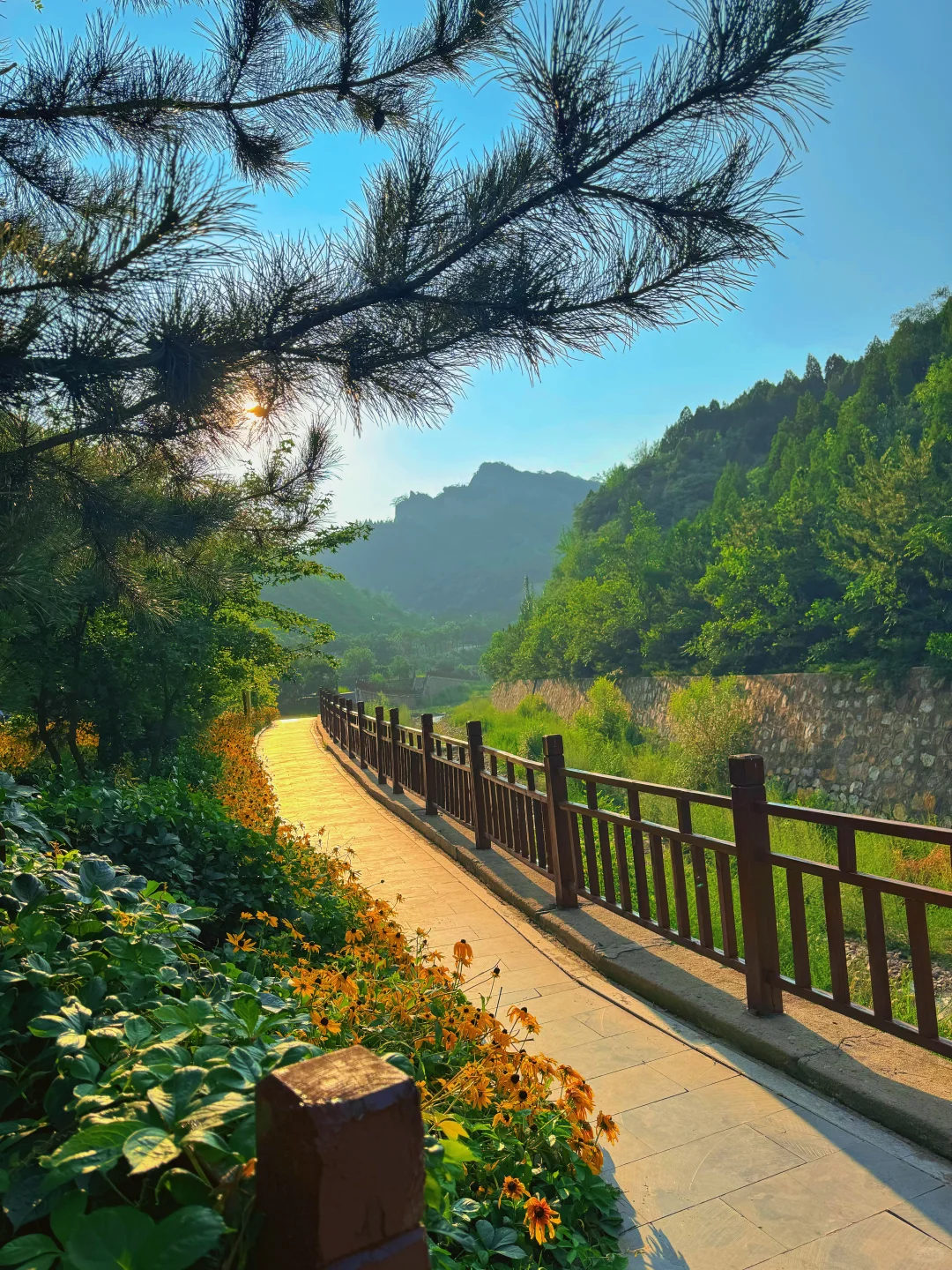 这么热的天，夜游蒙山避暑圣地，遛娃玩水绝啦