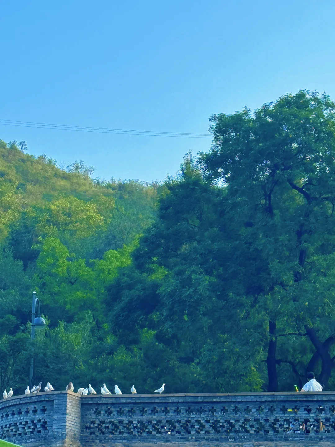 这么热的天，夜游蒙山避暑圣地，遛娃玩水绝啦