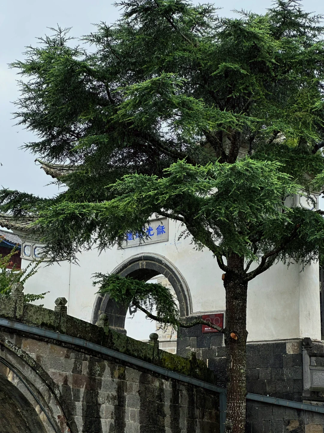 这么久了，还是觉得腾冲和顺古镇无法超越🍃