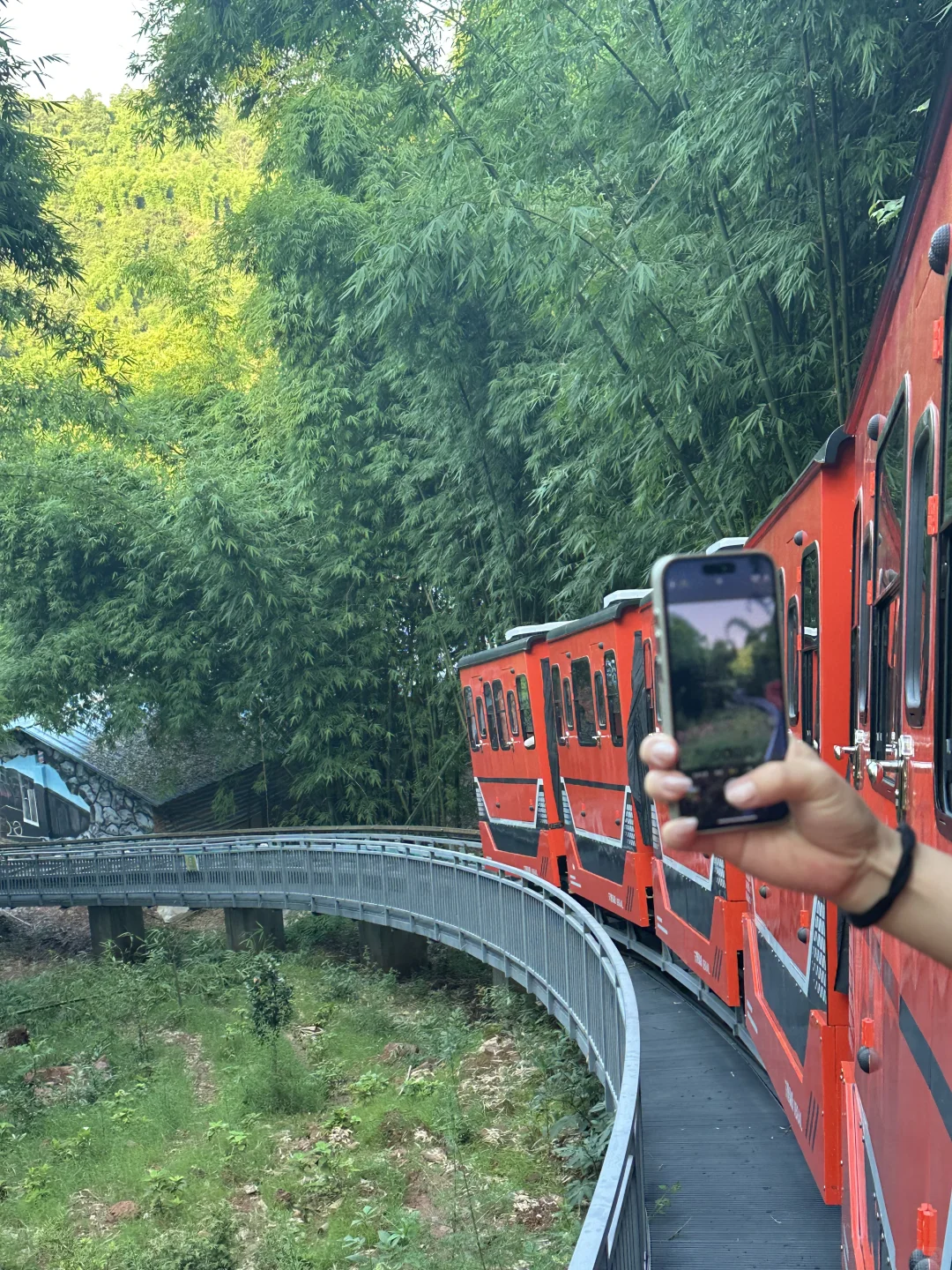 💨成都1h，带狗撒欢玩水的竹海秘境！