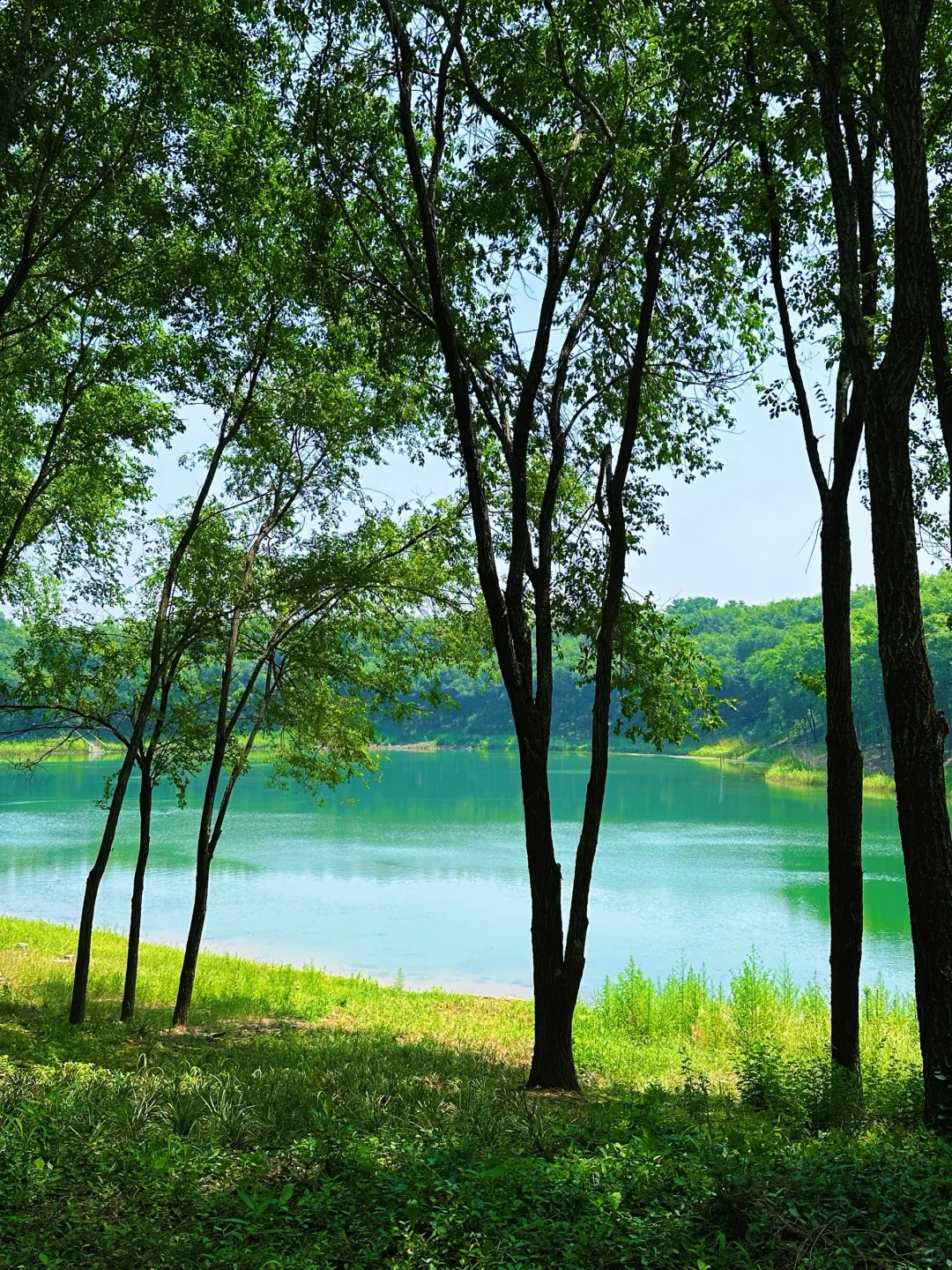 在北京！夏日绿野仙踪CityWalk路线！附攻略