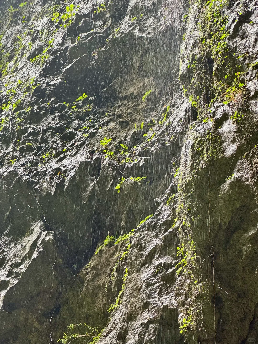 🚣石门仙湖｜闯地下暗河，遇现实版“桃花源”？！