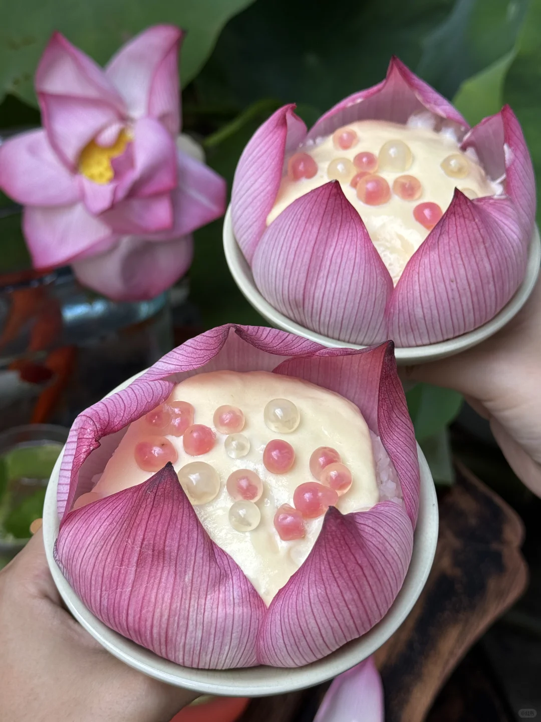 暑假来杭州一定不要错过这几个景点（附攻略）