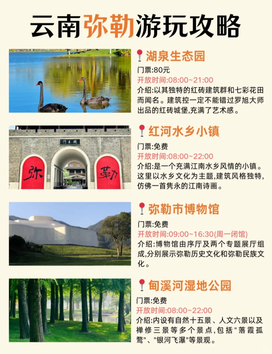 一次性讲清弥勒到底怎么玩🤩