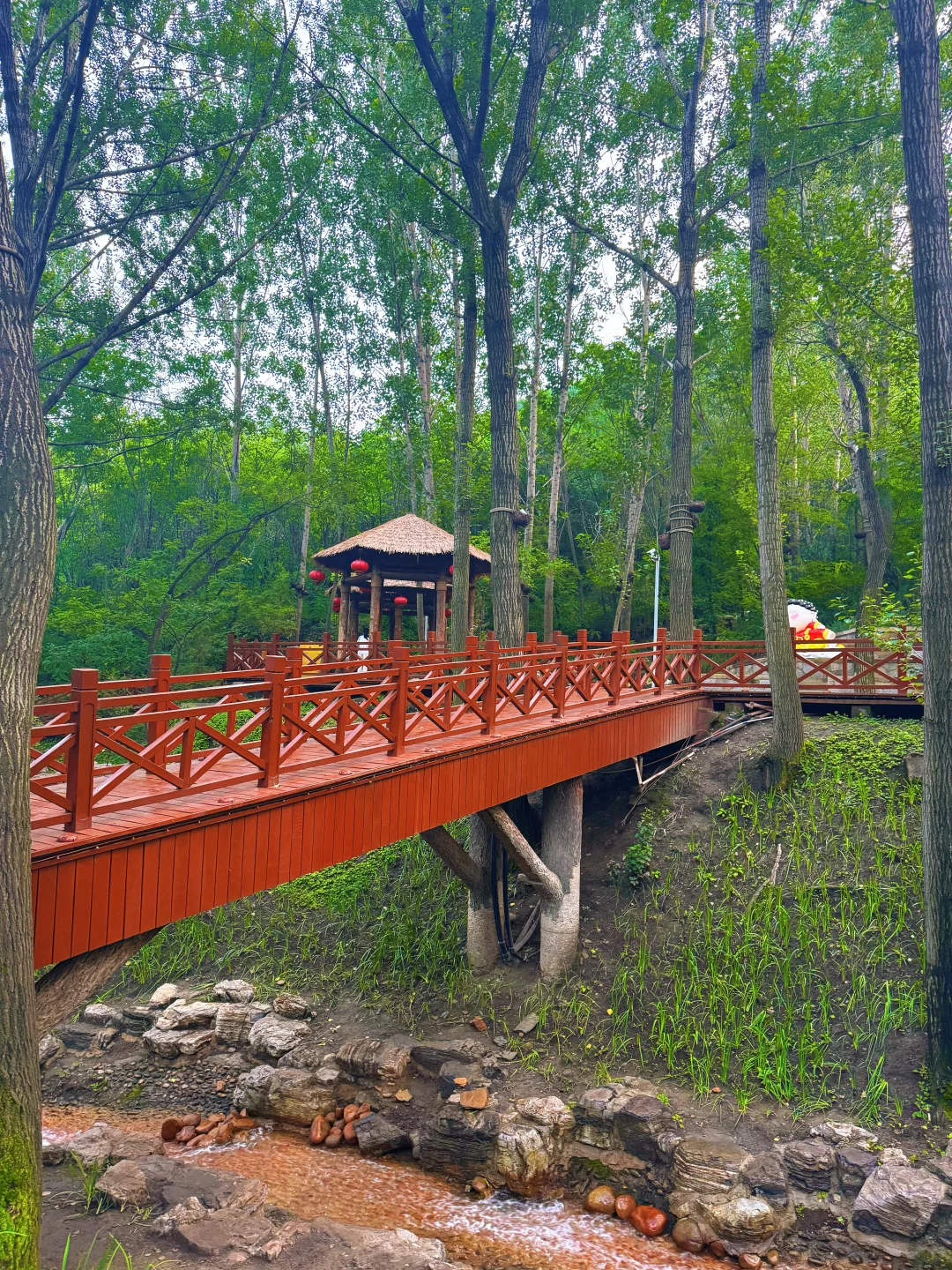 这么热的天，夜游蒙山避暑圣地，遛娃玩水绝啦