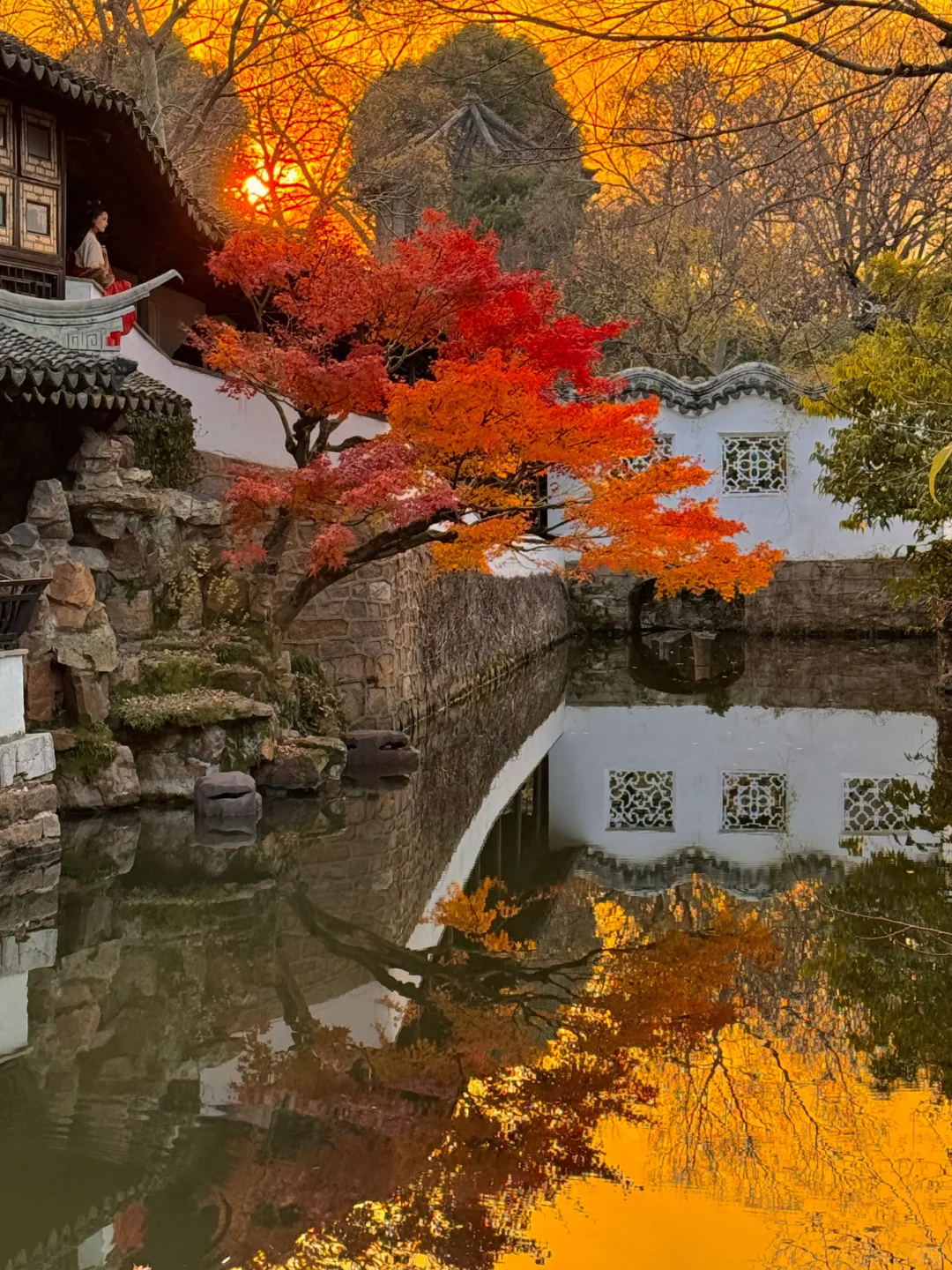 welcome to China|拙政园的封神Live