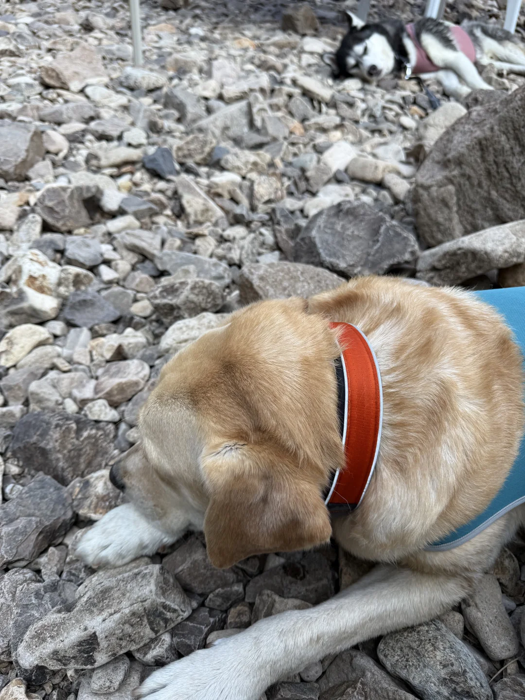 根本无法拒绝这么清透的玻璃水🥰